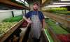 Joel Weber of Fresh Forage, a local hydroponic growing company, produces more than 60 types of microgreens &mdash; some of which are now available in Red River Co-ops. (Mike Deal / Free Press files)