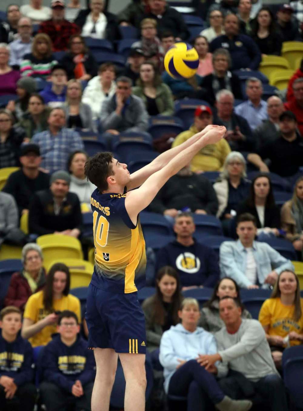 Tim Smith/The Brandon Sun
Brandon Sun 21022019Elliott Viles #10 of the Brandon University Bobcats bumps the ball during game one of the Bobcats Canada West Quarterfinal Series against the University of Calgary Dinos at the BU Healthy Living Centre on Thursday evening.