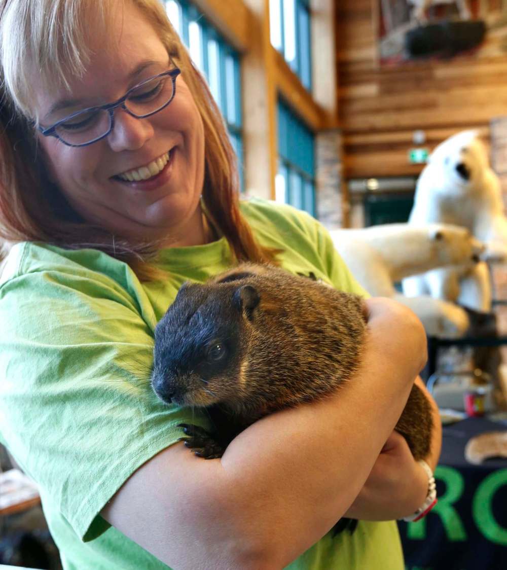 City animal rescue centre in urgent need of funds Winnipeg Free Press