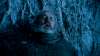 HBO
Hodor, played by Kristian Nairn, was among several key characters killed off in hit medieval fantasy drama Game of Thrones.