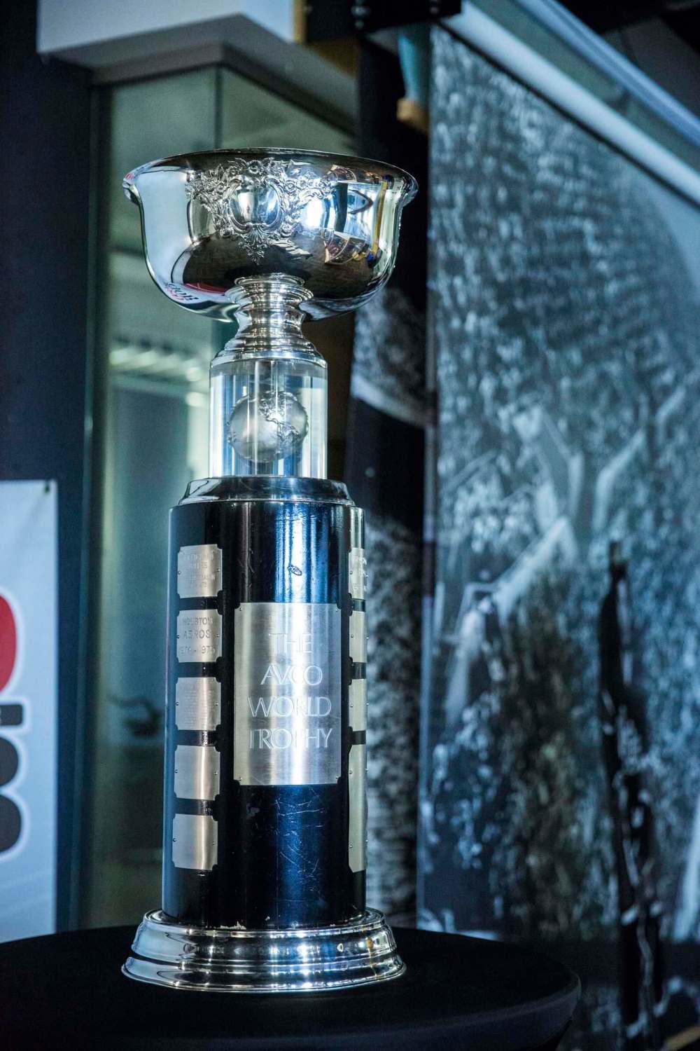 MIKAELA MACKENZIE / WINNIPEG FREE PRESSThe Avco cup at the Manitoba Sports Hall of Fame in Winnipeg on Friday, May 31, 2019. For Taylor Allen story.Winnipeg Free Press 2019.
