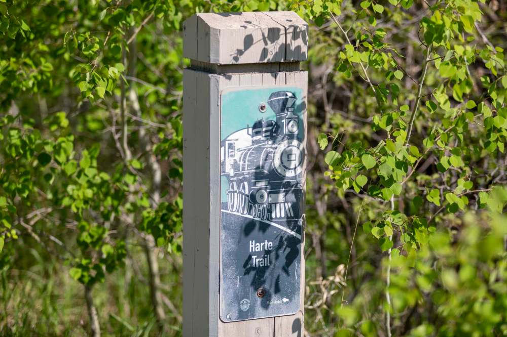 A marker on the Harte Trail.