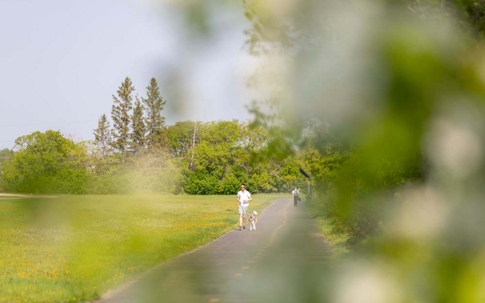 A jogger runs with his dog on the Yellow Ribbon Trail.