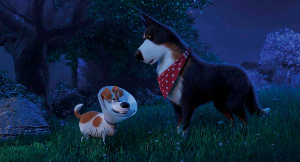 Universal Pictures
Max (voiced by Patton Oswalt, left) and Rooster (Harrison Ford) in The Secret Life of Pets 2.