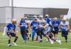 SASHA SEFTER / WINNIPEG FREE PRESS
Winnipeg Blue Bombers running back Andrew Harris muscles past the defensive line during practice on Tuesday afternoon.