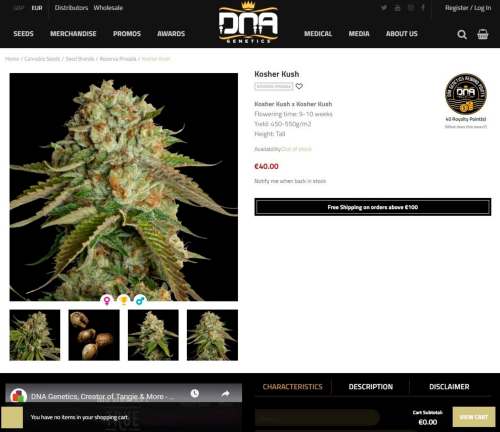 Kosher Kush, as seen on the website of cannabis breeder DNA Genetics. The cannabis cultivar is known for its potency. (DNA Genetics)