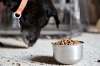 The FDA report acknowledges that the cases can't simply be explained by whether or not the dogs eat grains, or by the brand or manufacturer involved. (Daniel Acker / Bloomberg files)