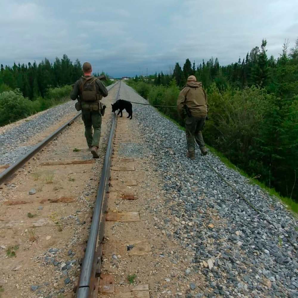 Manitoba RCMP released photos Friday of officers searching in the Gillam area. (Handout)