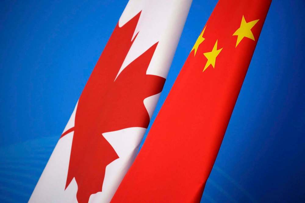 Jason Lee / The Canadian Press Files
A Canadian Agri-Food Policy Institute report suggests more work is needed to diversify Canada’s crop markets.