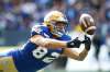 John Woods / The Canadian Press files
Bombers receiver Drew Wolitarsky hasn’t caught a pass for a touchdown in the past 11 games.