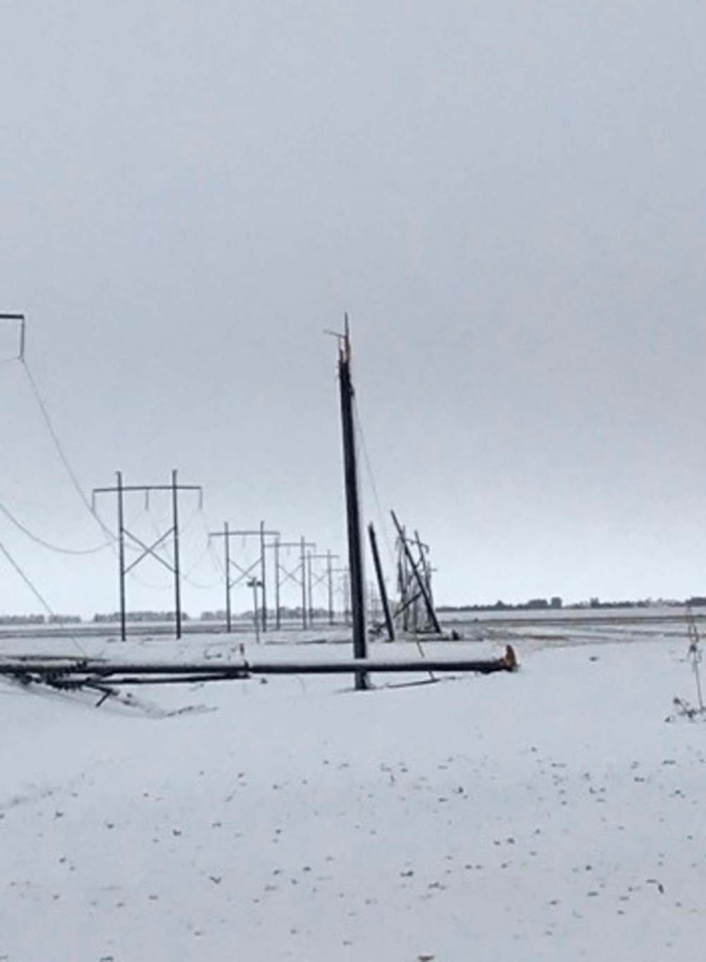 SUPPLIED
Damaged Manitboa Hydro lines are seen on Oct. 12 after the snow storm.