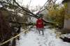 JOHN WOODS / WINNIPEG FREE PRESS
Ashlee Lambkin looks at a downed power line and tree in her backyard Sunday, October 13, 2019.