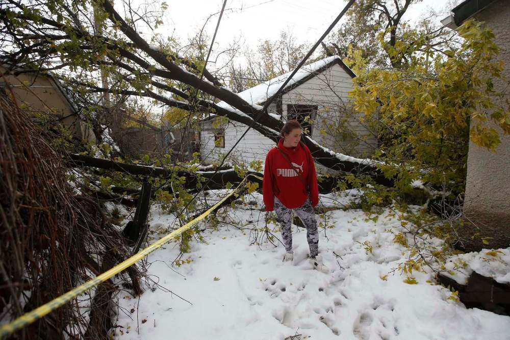 JOHN WOODS / WINNIPEG FREE PRESS
Ashlee Lambkin looks at a downed power line and tree in her backyard Sunday, October 13, 2019.