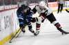 Fred Greenslade / The Canadian Press
Winnipeg Jets defenceman Neal Pionk battles Arizona Coyotes forward Clayton Keller during Tuesday night’s game.