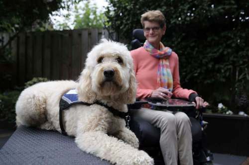 Photos by GRASSHOPPER FILMS
Service dog Kaiko helps Erna by picking up groceries and placing them in a basket, taking documents out of the computer printer and even pulling up the duvet to tuck her in.