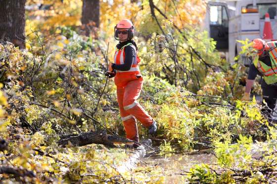 RUTH BONNEVILLE / WINNIPEG FREE PRESSCity of Winnipeg workers clean up broken tree branches that line the boulevards in south River Heights on Thursday. The winter storm that pounded the city last weekend damaged many trees and branches throughout the city creating an overwhelming mess for city crews to clean up.