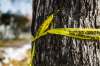 Police got into a confrontation with a man at the scene where the body of Karen Jane Letniak was found on Oct. 18. (Mikaela MacKenzie / Winnipeg Free Press files)