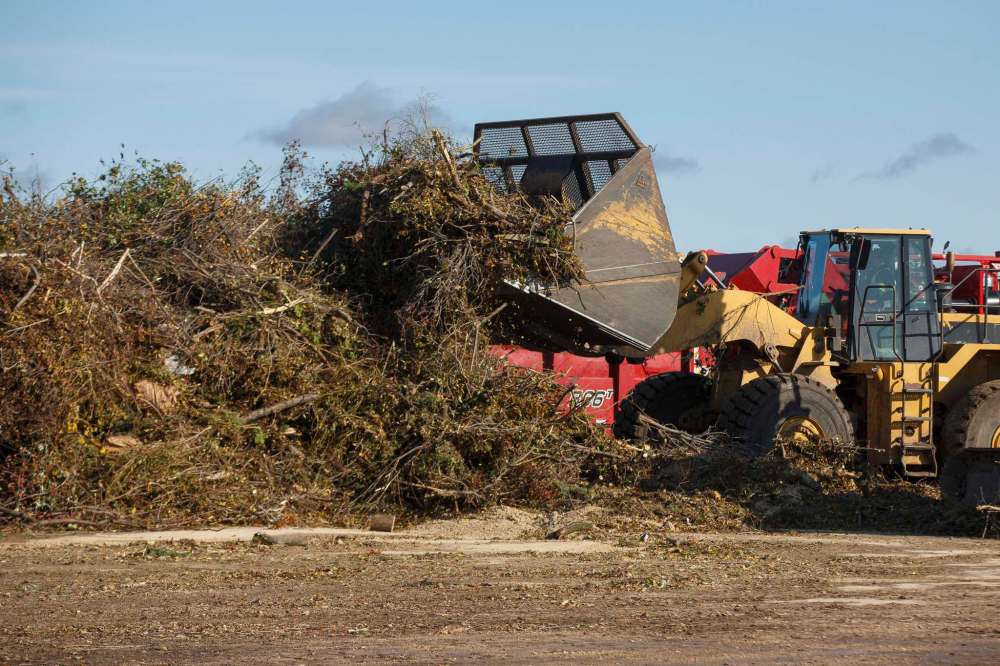 MIKE DEAL / WINNIPEG FREE PRESS
Crews at the Brady Road Resource Management Facility process piles of tree branches, gathered since the storm two weeks ago, into wood chips Thursday morning.