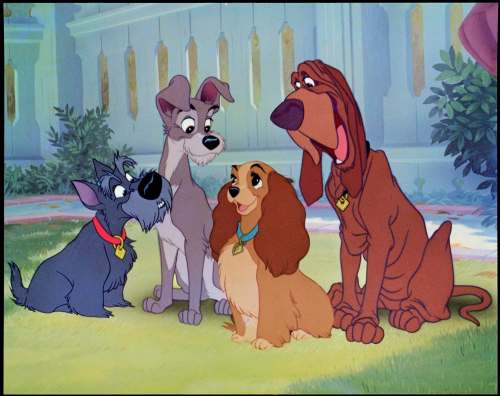 Disney
Streaming platform Disney Plus has kept the controversial scenes in the 1955 film Lady and the Tramp, but added a content warning.