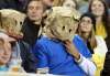 Jason Halstead / Winnipeg Free Press files
Bombers fans cover their faces with paper bags during a game against the B.C. Lions in 2013.