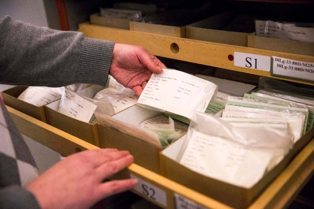 The Manitoba Museum houses approximately 2.8 million artifacts and specimens, including massive installations and archeological objects as tiny as a shard. (Mikaela MacKenzie / Winnipeg Free Press)