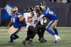 Hamilton Tiger-Cats quarterback Dane Evans (9) is heading into the biggest test of his young career. (John Woods/ The Canadian Press files)