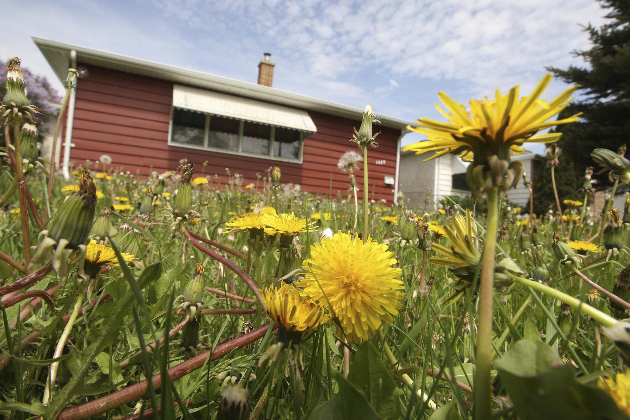 Relaxing Restrictions Not Worth The Risk Winnipeg Free Press
