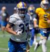 BORIS MINKEVICH / WINNIPEG FREE PRESS
At 29, the Winnipeg Blue Bombers Andrew Harris is still considered one of the premier backs in the league.