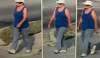Police are looking to identify this woman seen in surveillance video walking in the area of Civic Park on the morning Krull disappeared.
Supplied / Winnipeg Police