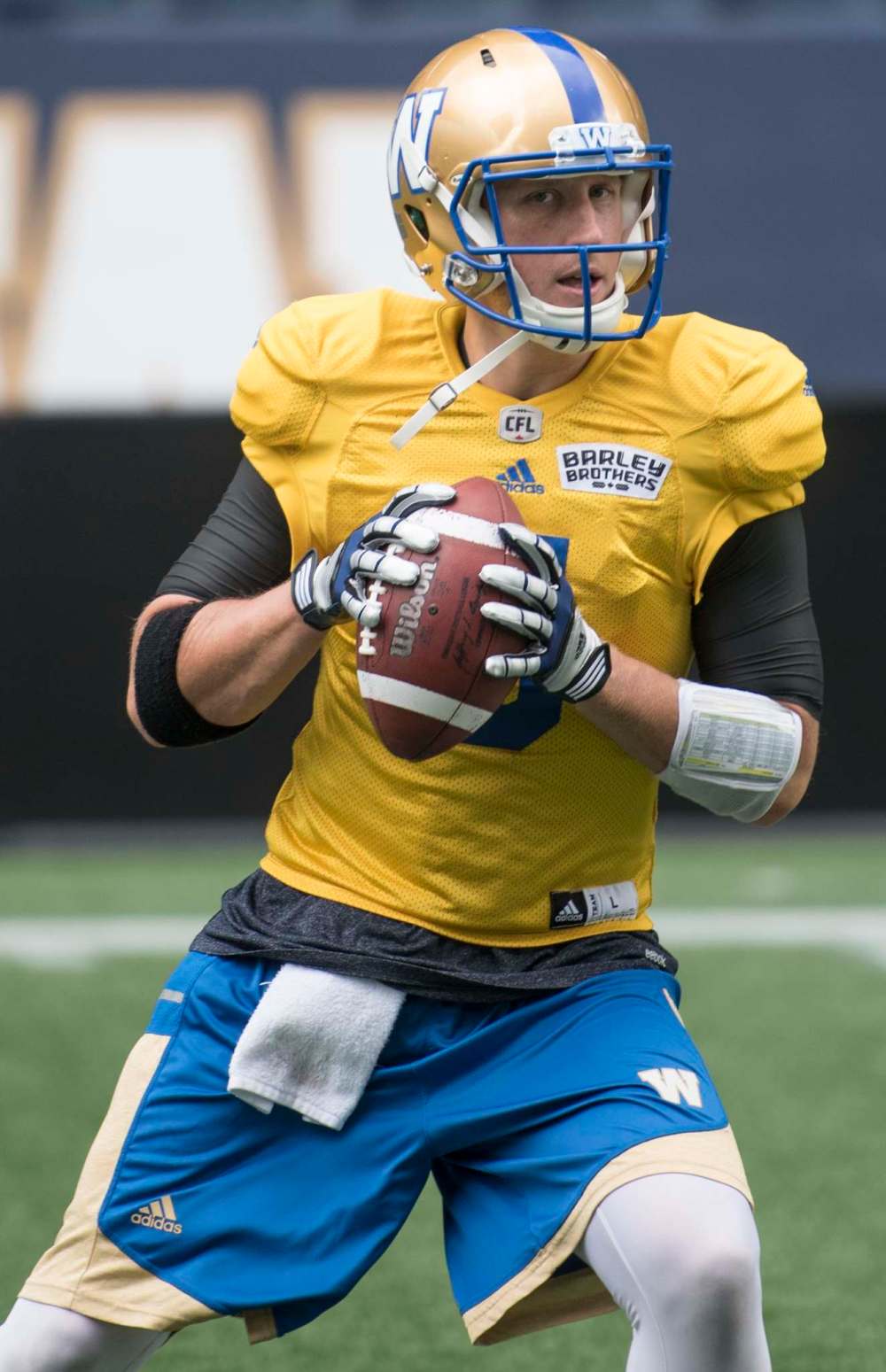 DAVID LIPNOWSKI / WINNIPEG FREE PRESS
O’Shea said Drew Willy is still the man at the helm of the offence despite problems moving the ball downfield.