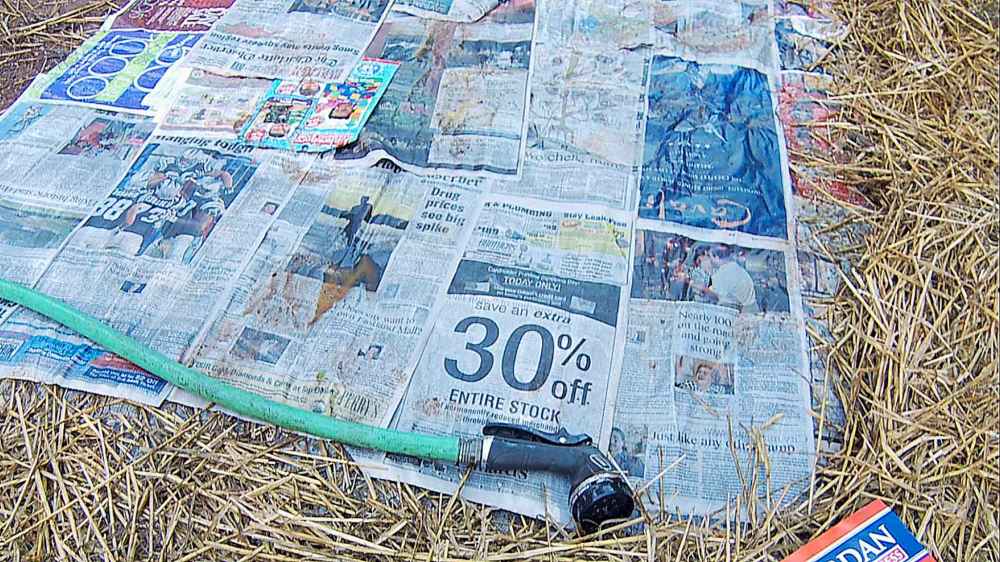 Composting newsprint could ease city’s recycling woes Winnipeg Free Press