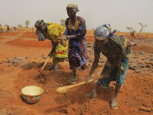 BARTLEY KIVES / WINNIPEG FREE PRESS 
Women in Galma Commune in  south-central Niger dig a crescent moon to trap rain water as part of a work-for-food program.