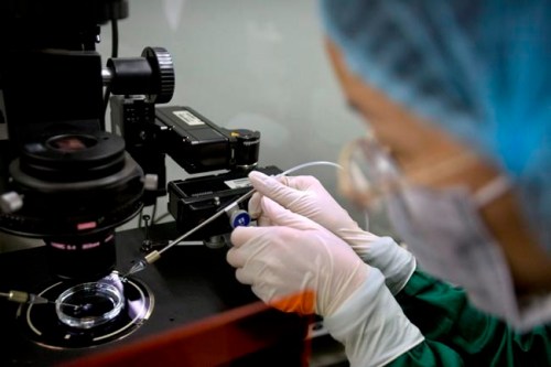 FILE - In this Oct. 9, 2018 file photo, a researcher installs a fine glass pipette into a microscope in preparation for injecting embryos with Cas9 protein and PCSK9 sgRNA at a lab in Shenzhen in southern China's Guandong province. On Tuesday, March 19, 2019, an expert committee convened by the World Health Organization is calling for the U.N. health agency to create a global registry of scientists working on gene editing. (AP Photo/Mark Schiefelbein, File)