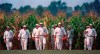 FILE - In this undated file photo, people portraying ghost players emerge from a cornfield as they reenact a scene from the movie 