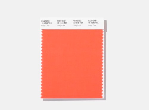 This image released by Pantone Color Institute shows a swatch featuring Living Coral, which Pantone Color Institute has chosen as its 2019 color of the year. (Pantone Color Institute via AP)