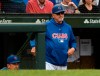 FILE - In this Oct. 1, 2018, file photo, Chicago Cubs manager Joe Maddon (70) looks on after Milwaukee Brewers' Domingo Santana (16) scores during the eighth inning of a tie break baseball game against the Chicago Cubs in Chicago. After four consecutive playoff appearances and the 2016 World Series title, the Chicago Cubs are way past playing for Maddon's future. Maddon is entering the final year of his contract after the team declined to offer an extension to its 65-year-old manager. (AP Photo/Matt Marton, File)