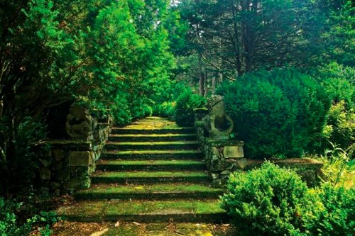 This photo provided by Rizzoli Press shows moss-covered steps guarded by a pair of centuries-old Chinese dragons in Greenwood Gardens, Short Hills, N.J. The photograph is featured in the book 