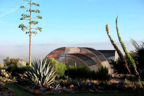 This 2007 photo shows The Conservatory of Plants in El Charco del Ingenio in San Miguel de Allende, Mexico. (El Charco del Ingenio AC via AP)