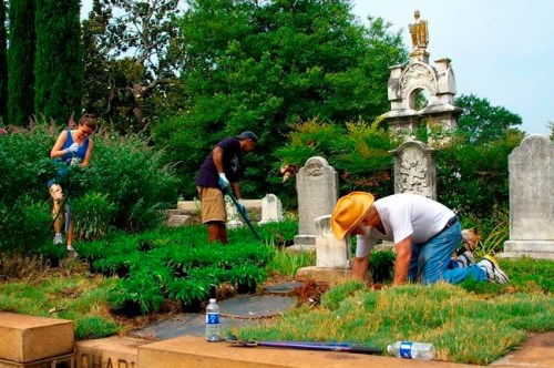 This undated photo, provided by Sara Henderson, volunteers help landscape Oakland Cemetery. In Victorian era cemeteries, it was tradition for families and friends to garden at the graveyard. (Sara Henderson via AP)