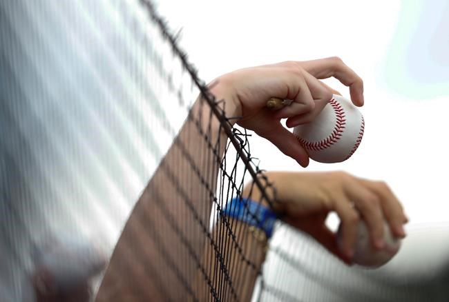 FILE - In this March 11, 2018 file photo fans holds baseballs over the protective netting before a spring training game between the New York Mets and the Houston Astros, in Port St. Lucie, Fla. Illinois' two senators have urged Major League Baseball to be more transparent about fans who are injured by foul balls, saying the lack of data is creating confusion about the extent of the problem. Democratic Sens. Dick Durbin and Tammy Duckworth said in a letter to baseball Commissioner Rob Manfred this week that MLB should