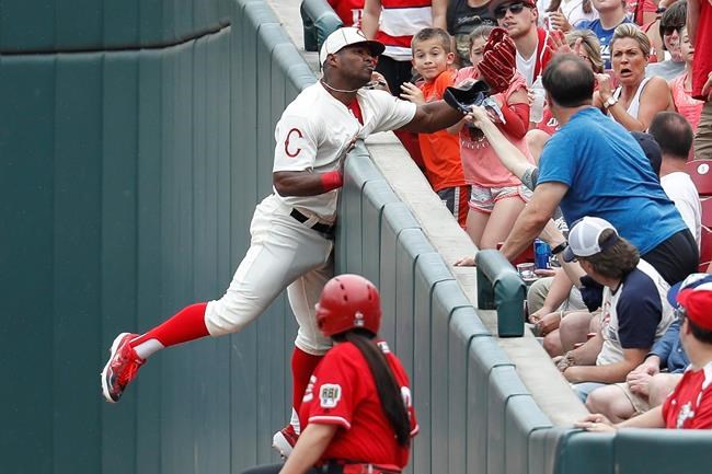 Cincinnati Reds' Yasiel Puig catches a foul ball hit by Los Angeles Dodgers' Hyun-Jin Ryu in the sixth inning of a baseball game, Sunday, May 19, 2019, in Cincinnati. (AP Photo/John Minchillo)