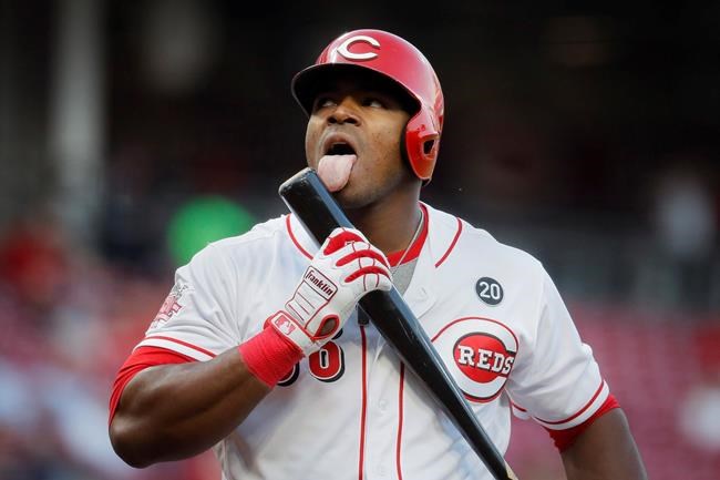 Cincinnati Reds' Yasiel Puig licks his bat after hitting a foul tip off Chicago Cubs starting pitcher Yu Darvish in the fourth inning of a baseball game, Wednesday, May 15, 2019, in Cincinnati. (AP Photo/John Minchillo)