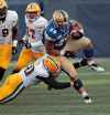 PHIL HOSSACK / WINNIPEG FREE PRESS
Winnipeg Blue Bomber's Brady Oliviera in Pre-Season action at IG Field Friday.