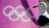 A seagull stands on the top of a phone box in Cardiff, Wales, Tuesday, July 24, 2012. Opening ceremonies for the 2012 London Olympics will be held Friday, July 27. (AP Photo/Luca Bruno)
