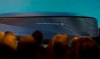 Real Madrid board of directors and guests watch a projection of a artist's image of the proposed new Santiago Bernabeu stadium during a presentation to remodel the stadium in Madrid, Spain, Tuesday, April 2, 2019. (AP Photo/Paul White)