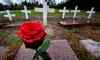 Paul Chiasson / The Canadian Press
A rose marks a grave at the National Field of Honour in Montreal. Canada and other countries celebrate Remembrance Day today.