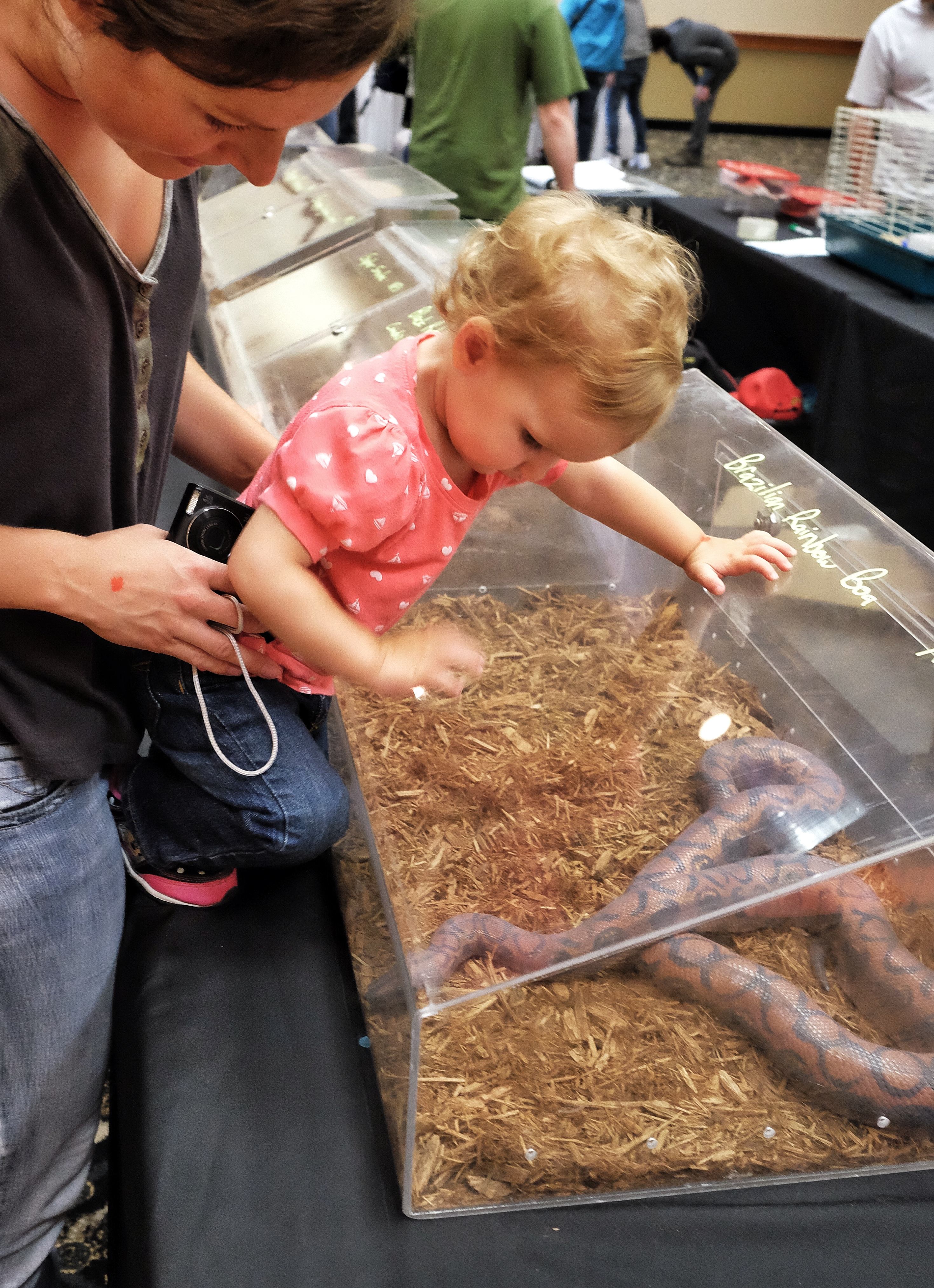 Kids go for reptiles at expo Winnipeg Free Press