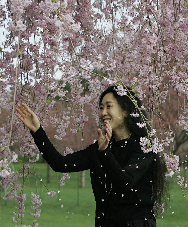 Dodo Jin Ming, a Chinese-born photographer who works and lives in New York, delights as rose-colored petals from a weeping cherry rain down on her during a visit to the Brooklyn Botanic Garden in New York. (AP file photo/Kathy Willens)