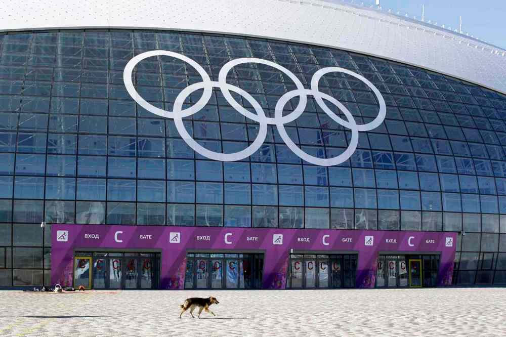 Patrick Semansky / The Associated Press
A stray dog walks outside the Ice Dome venue as preparations continue for the 2014 Winter Olympics in Sochi, Russia, Monday.