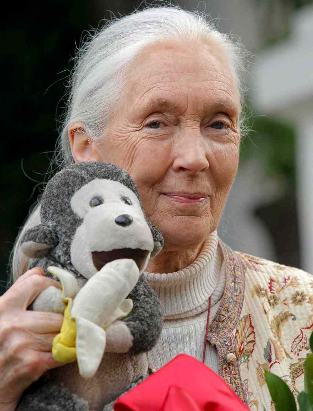 Nick Ut / The Associated Press Files
Jane Goodall
